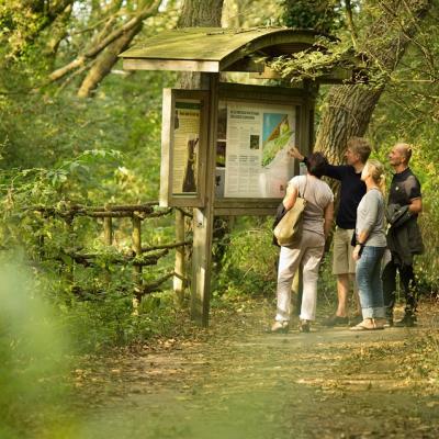 Wandelen in de duinbossen